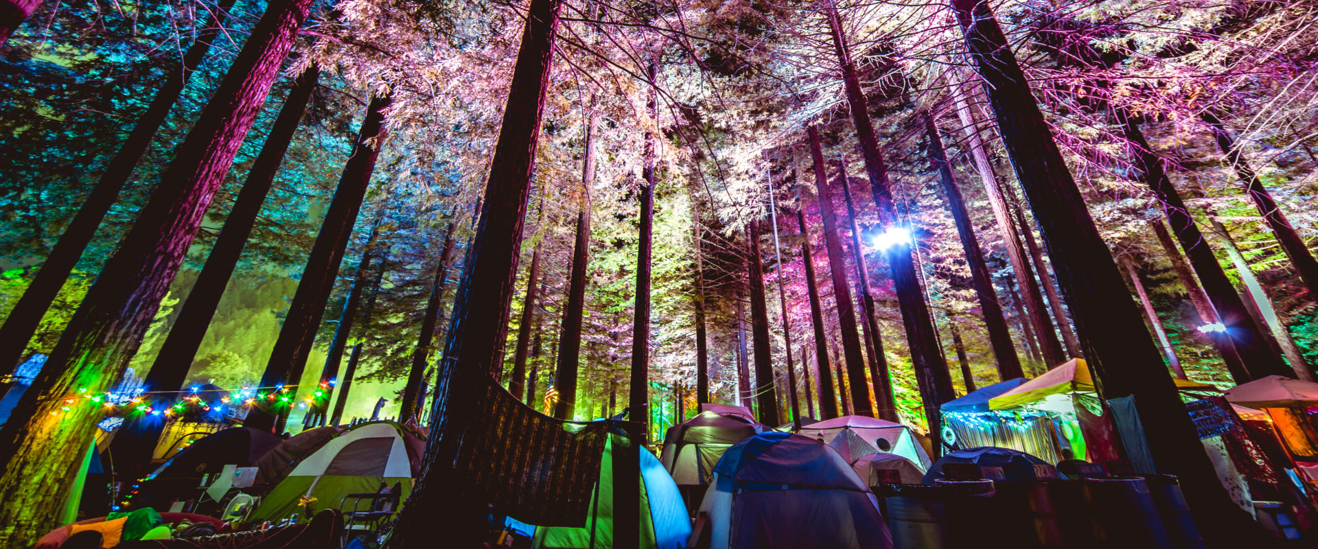 The Ultimate Guide to Food and Drink at Music Festivals in Ada County, Idaho