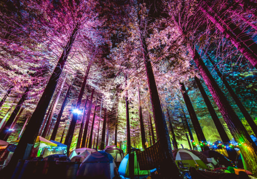 The Ultimate Guide to Food and Drink at Music Festivals in Ada County, Idaho
